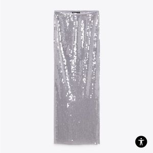 Zara sequin midi skirt